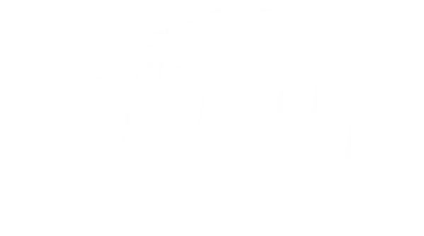 Grupo Inmobiliario SANELI