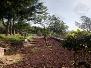Diapositiva46