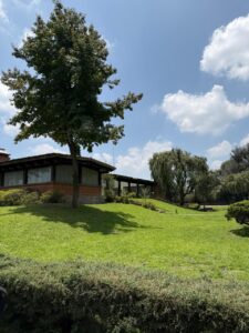 WhatsApp Image 2025-08-06 at 14.52.06