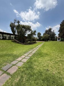 WhatsApp Image 2025-08-06 at 14.52.08 (4)