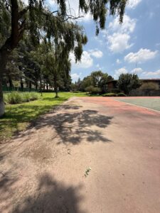 WhatsApp Image 2025-08-06 at 14.52.08 (5)