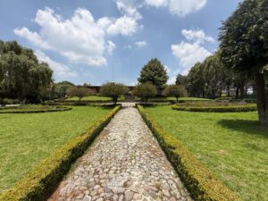 WhatsApp Image 2025-08-06 at 14.52.09 (4)