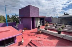 WhatsApp Image 2026-04-06 at 18.30.04 (1)