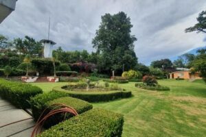 WhatsApp Image 2026-04-06 at 18.42.00 (1)