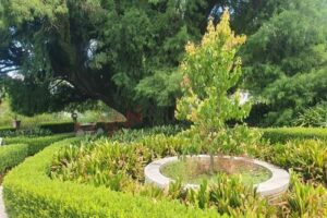 WhatsApp Image 2026-04-06 at 18.42.00 (3)