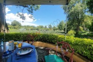 WhatsApp Image 2026-04-06 at 18.42.00