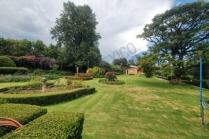 WhatsApp Image 2026-04-06 at 18.42.00 (4)