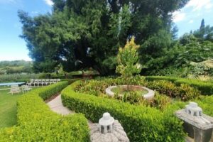 WhatsApp Image 2026-04-06 at 18.42.00 (6)