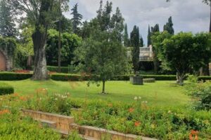 WhatsApp Image 2026-04-06 at 18.42.00 (7)