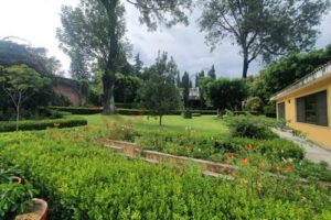 WhatsApp Image 2026-04-06 at 18.42.00 (8)