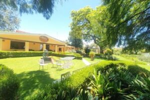 WhatsApp Image 2026-04-06 at 18.42.01 (1)