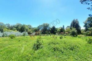 WhatsApp Image 2026-04-06 at 18.42.01 (2)