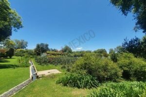 WhatsApp Image 2026-04-06 at 18.42.01 (3)