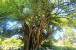 WhatsApp Image 2026-04-06 at 18.42.01