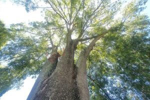 WhatsApp Image 2026-04-06 at 18.42.01 (4)