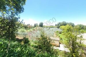 WhatsApp Image 2026-04-06 at 18.42.01 (5)