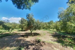 WhatsApp Image 2026-04-06 at 18.42.01 (6)